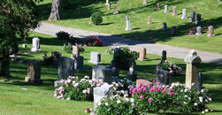 Wethersfield Village Cemetery